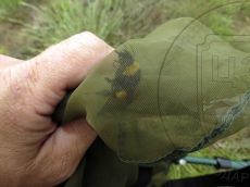 Шмель-зонатус_3